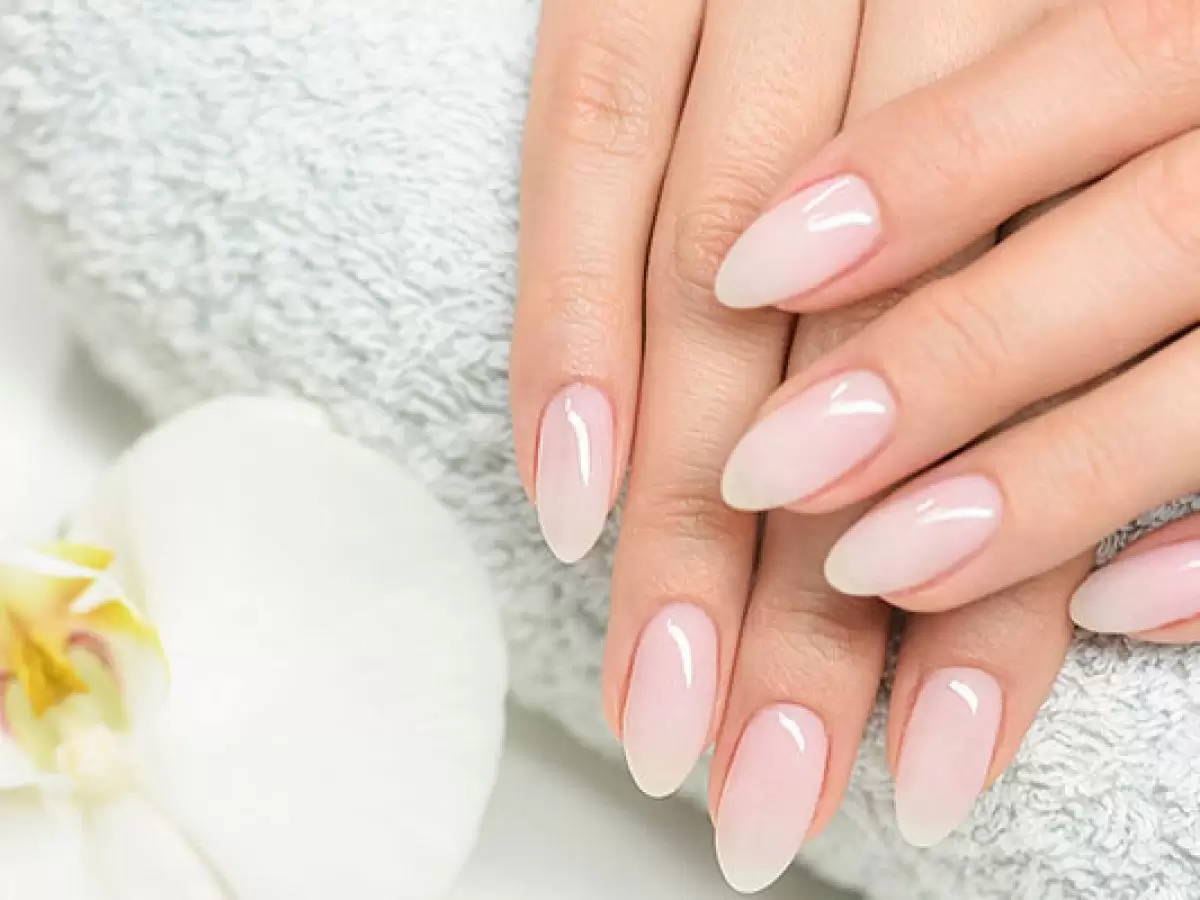 Şarkikaraağaç Protez Tırnak